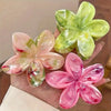 GRADIENT PLASTIC HAIR CLAW (3PC)